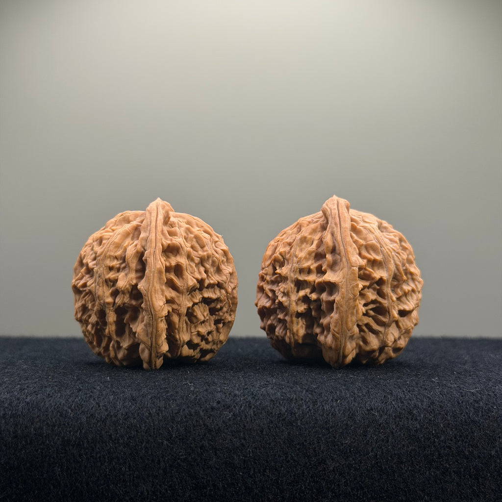 CowBoy Wenwan Walnut · 38mm · Natural · Select Ritual