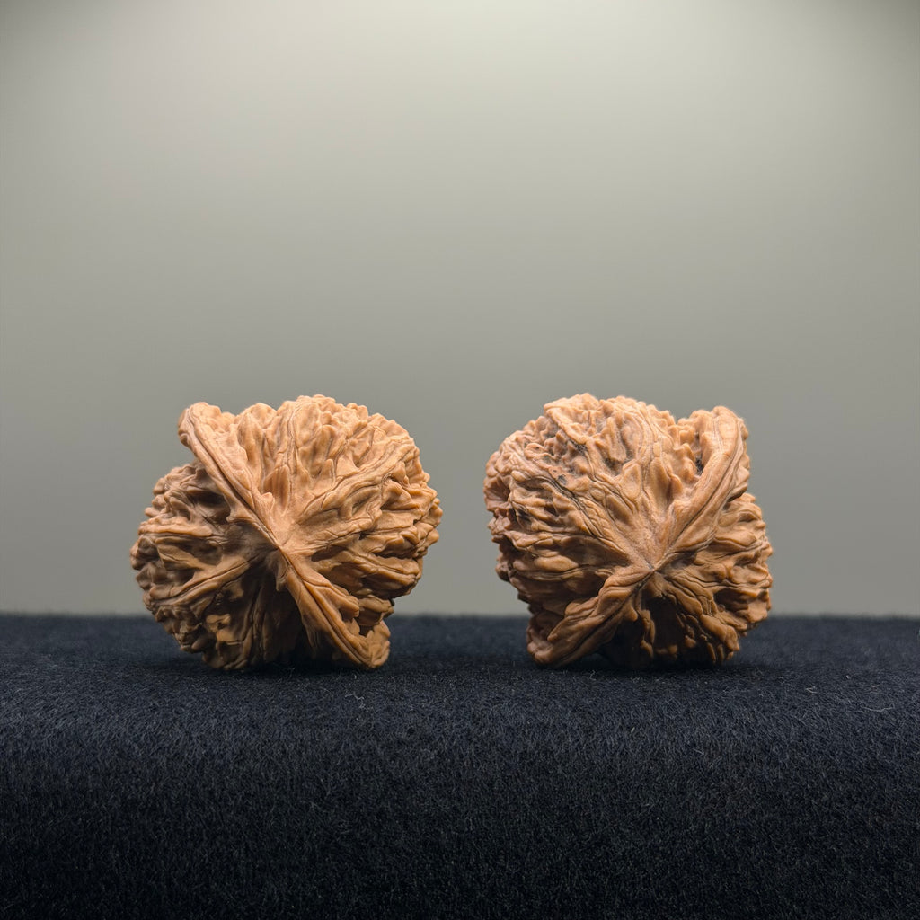 CowBoy Wenwan Walnut · 38mm · Natural · Select Ritual