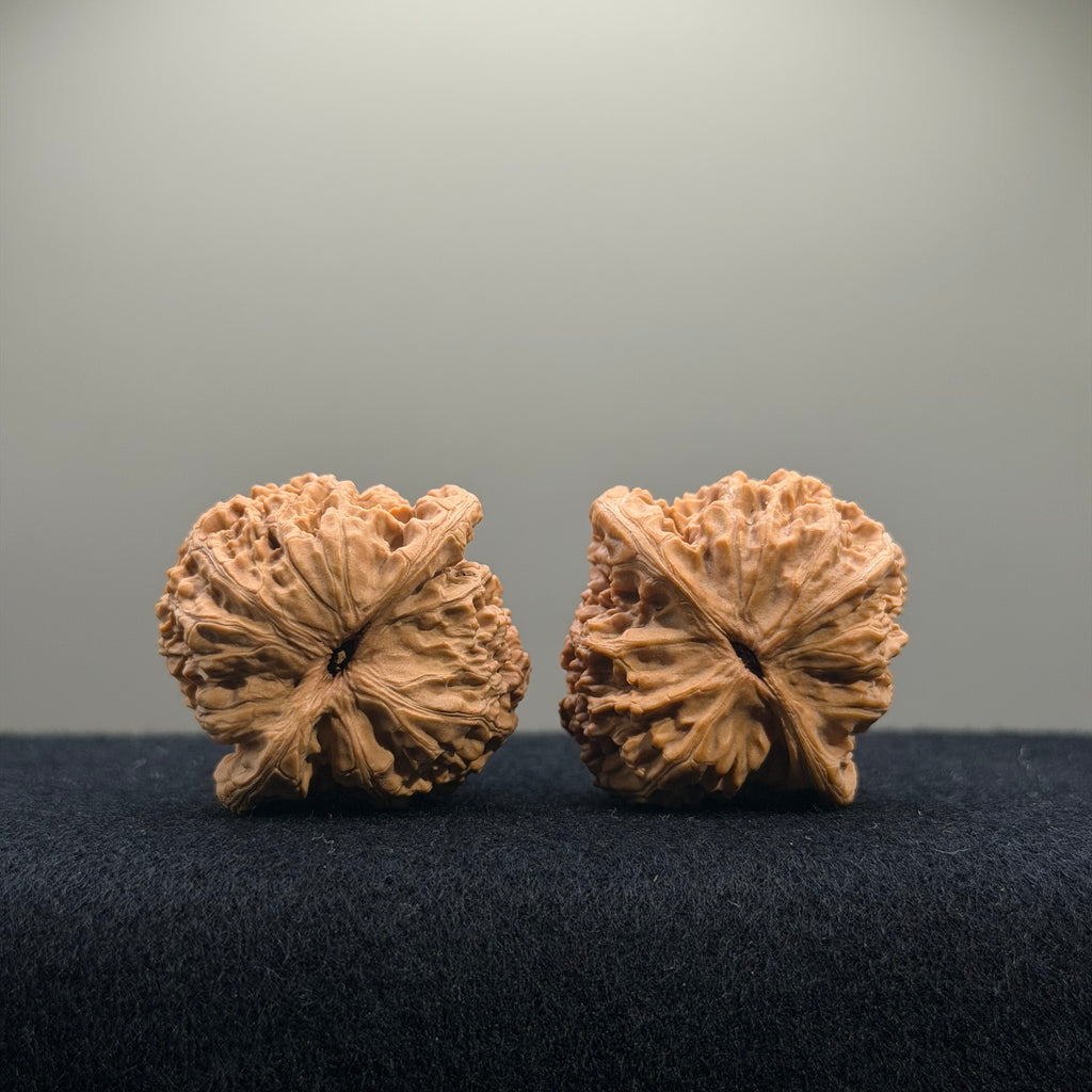 CowBoy Wenwan Walnut · 38mm · Natural · Select Ritual