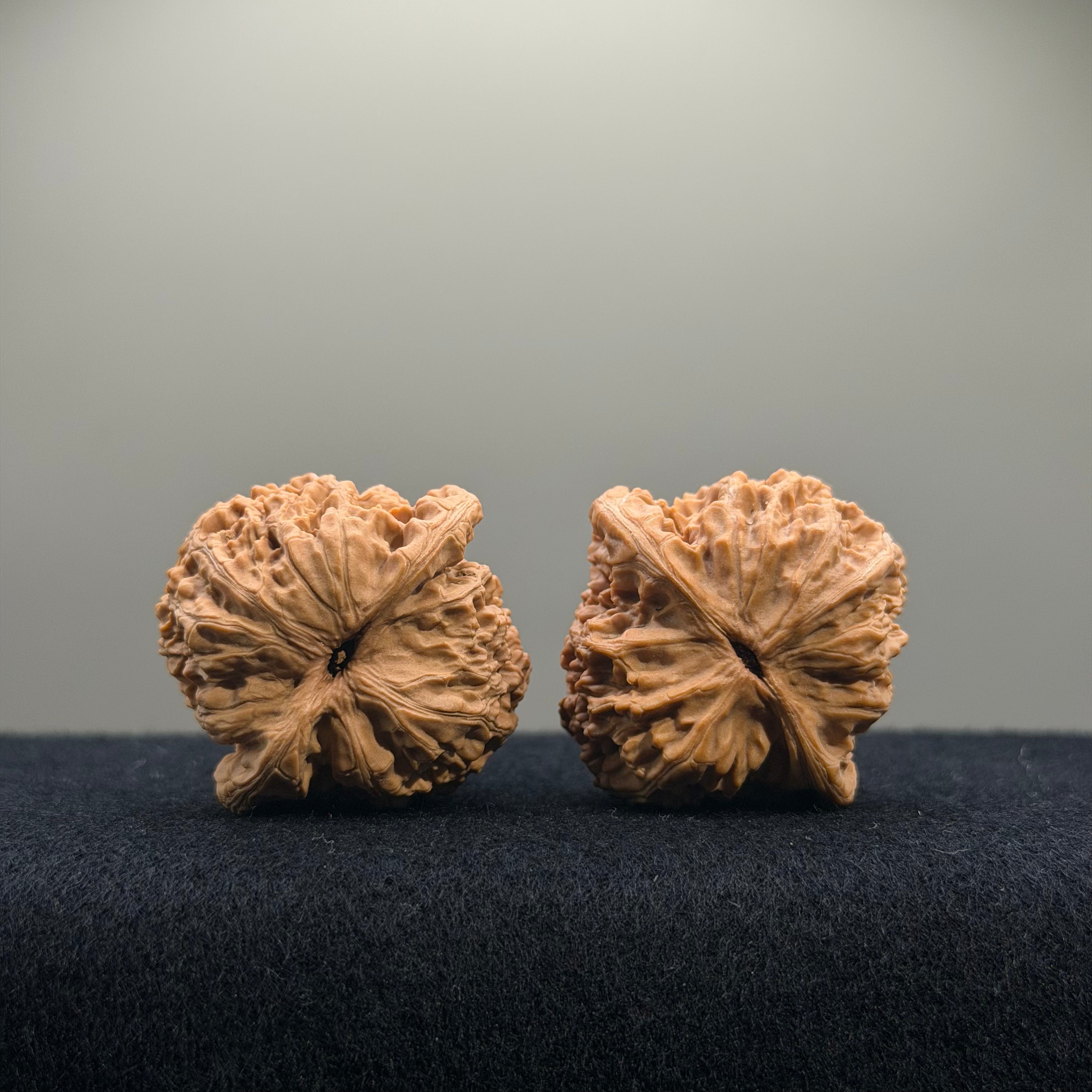 CowBoy Wenwan Walnut · 38mm · Natural · Select Ritual