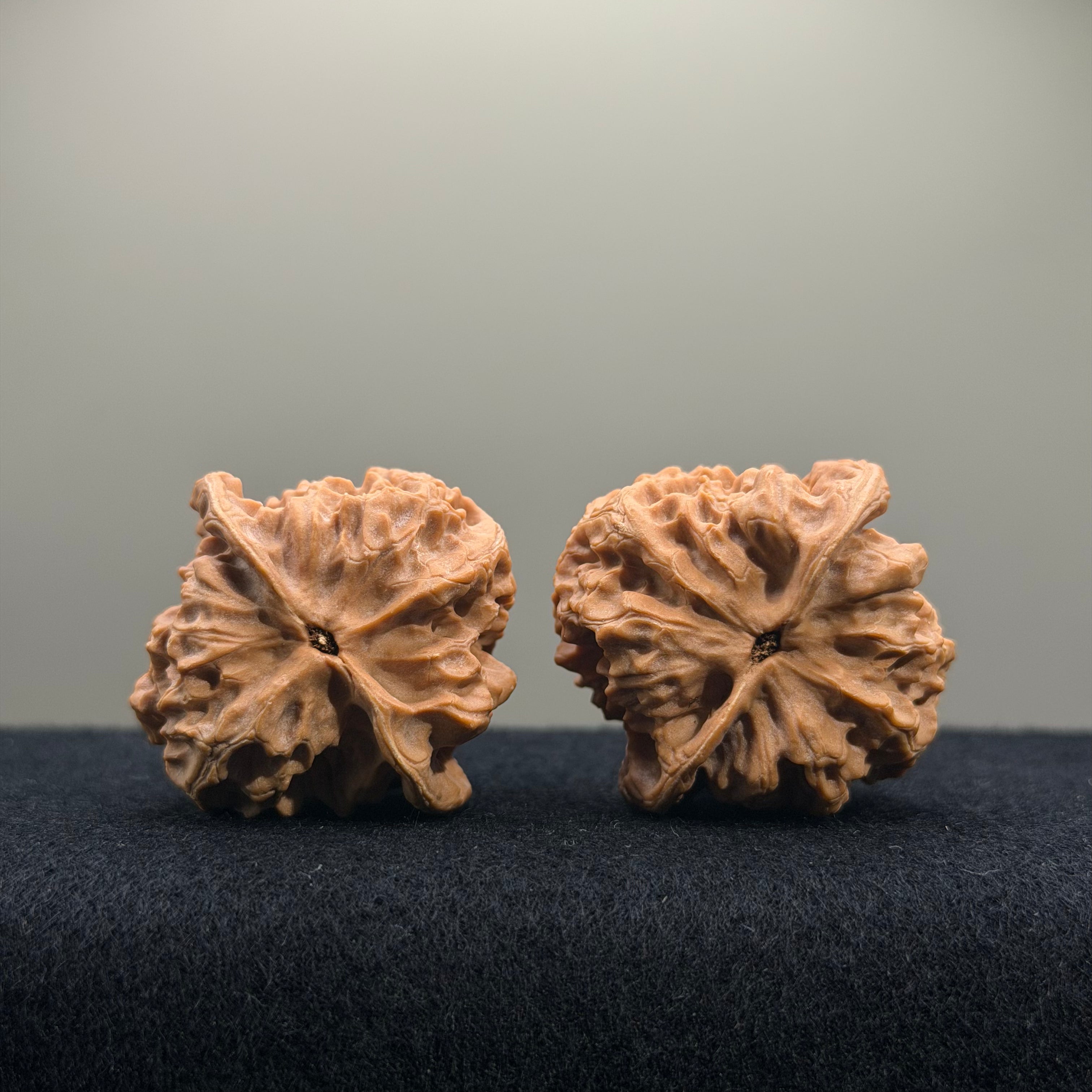 First Love Wenwan Walnut · 38mm · Natural · Select Ritual