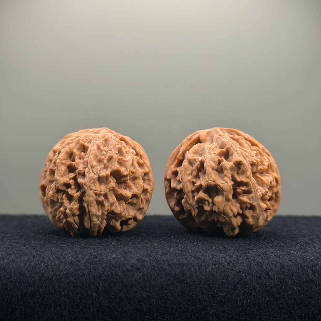 Apple Orchard Wenwan Walnut · 39mm · Natural · Entry Ritual