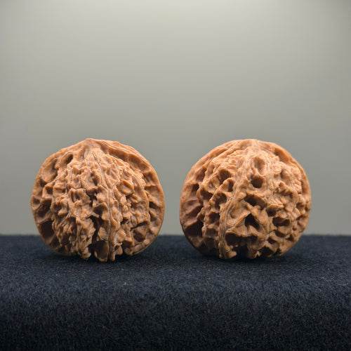 Apple Orchard Wenwan Walnut · 39mm · Natural · Entry Ritual