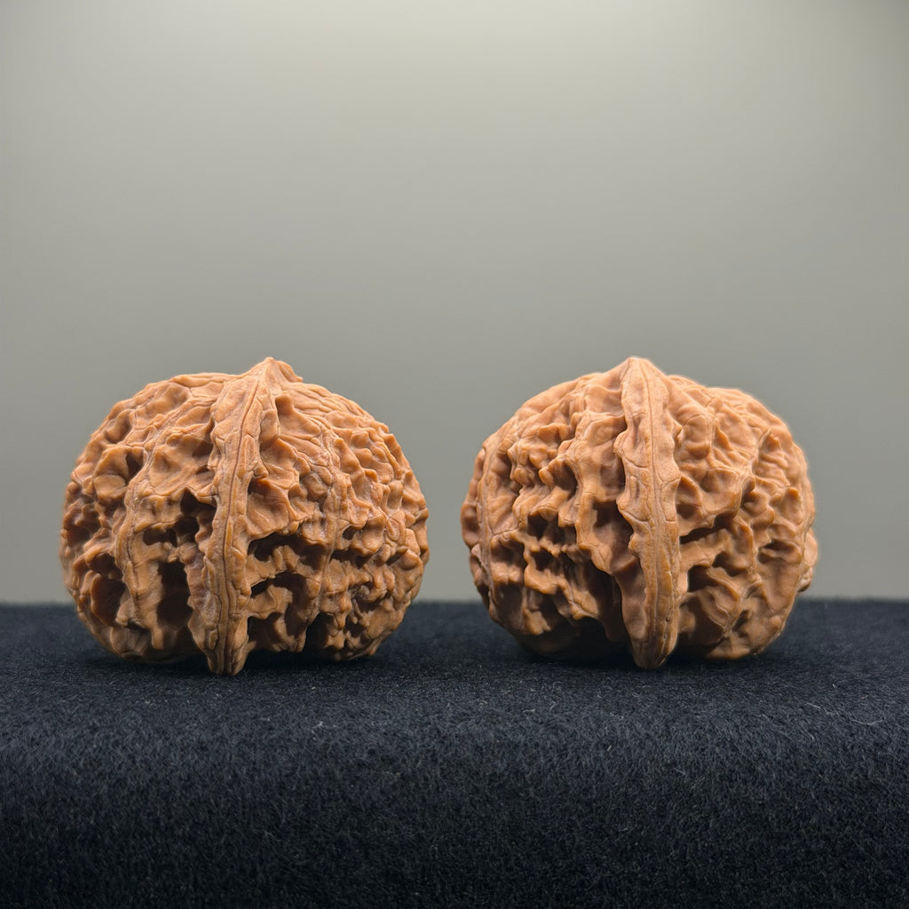 Apple Orchard Wenwan Walnut · 39mm · Natural · Entry Ritual