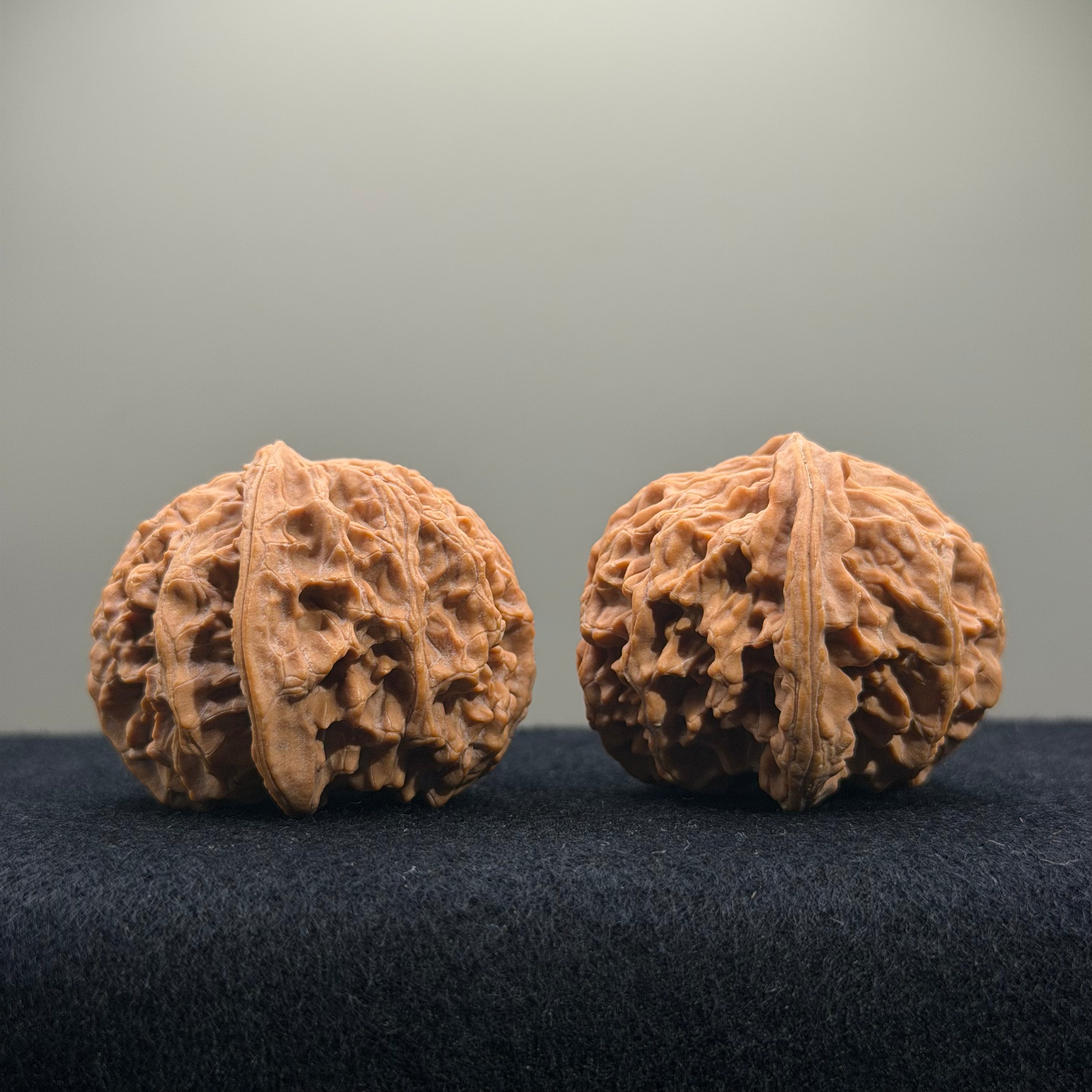 Apple Orchard Wenwan Walnut · 39mm · Natural · Entry Ritual