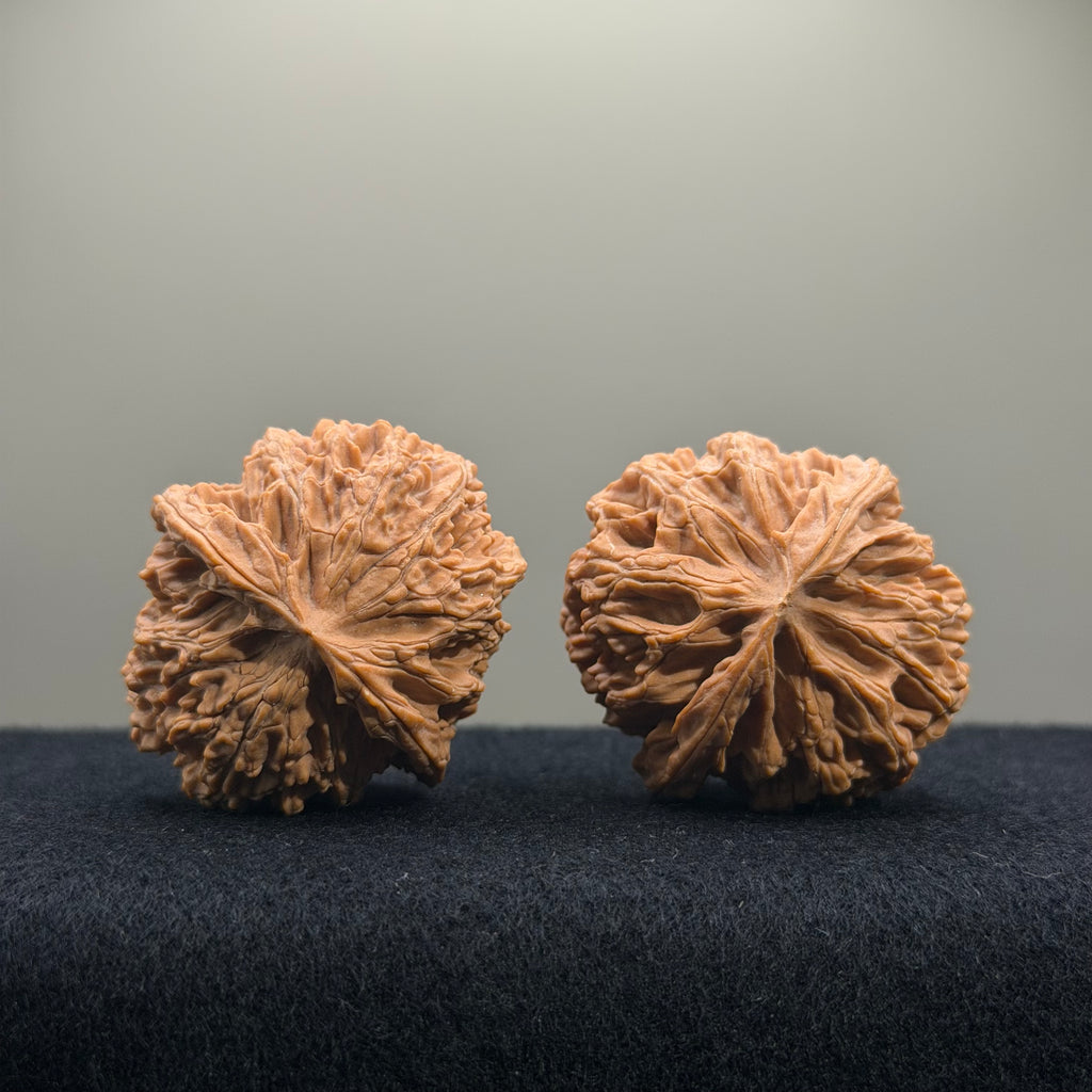 Apple Orchard Wenwan Walnut · 39mm · Natural · Entry Ritual