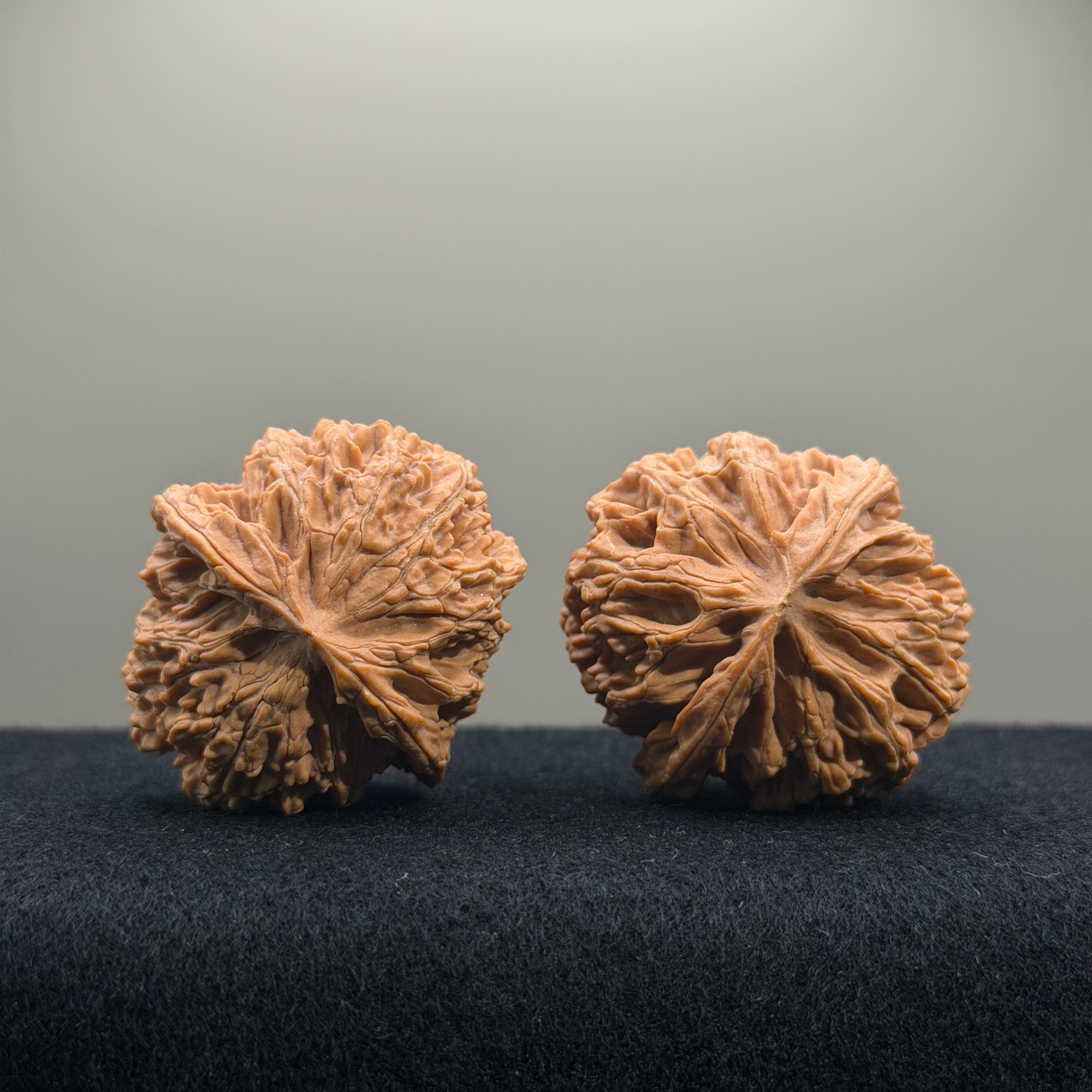 Apple Orchard Wenwan Walnut · 39mm · Natural · Entry Ritual