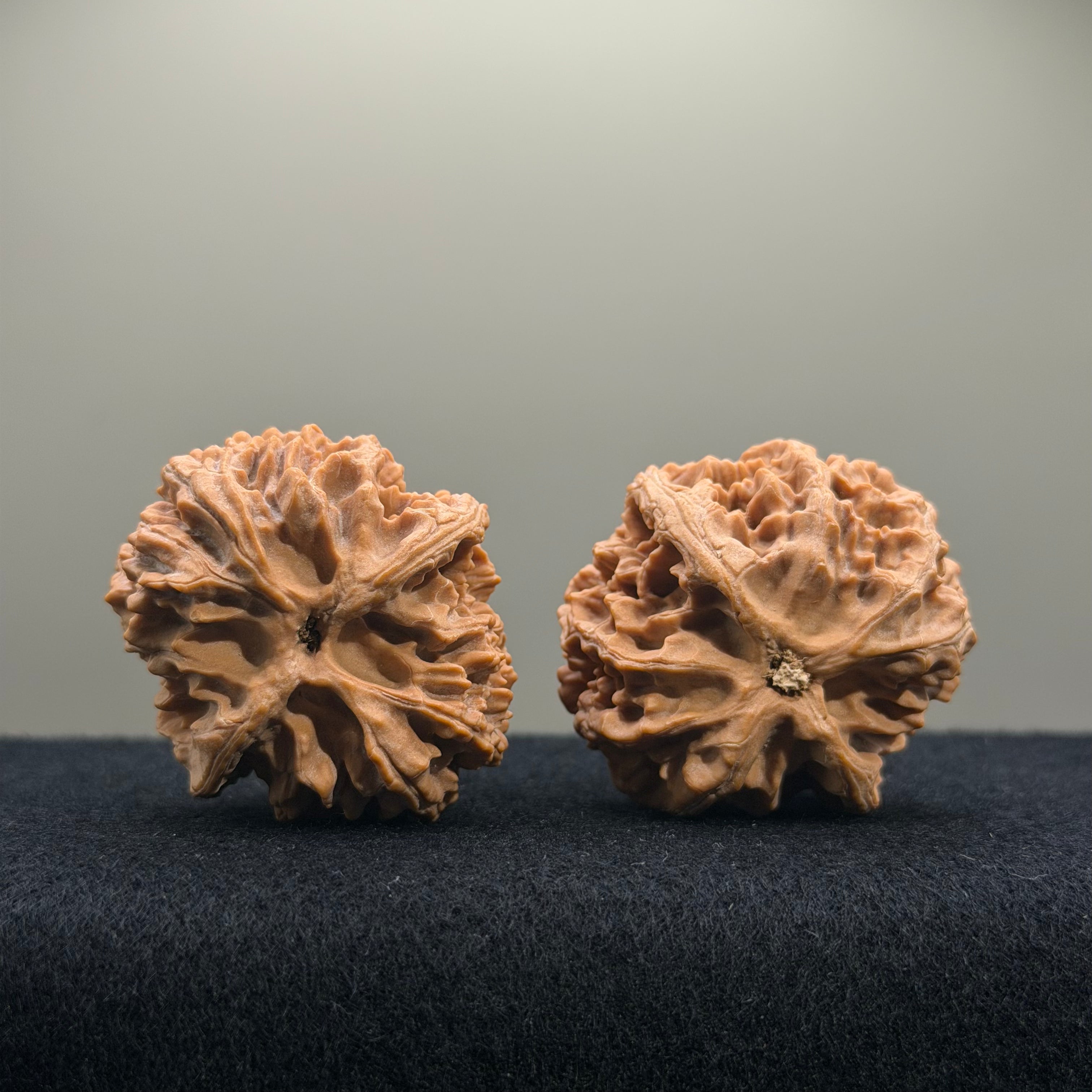 Apple Orchard Wenwan Walnut · 39mm · Natural · Entry Ritual