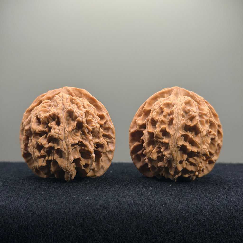 Apple Orchard Wenwan Walnut · 42mm · Natural · Select Ritual