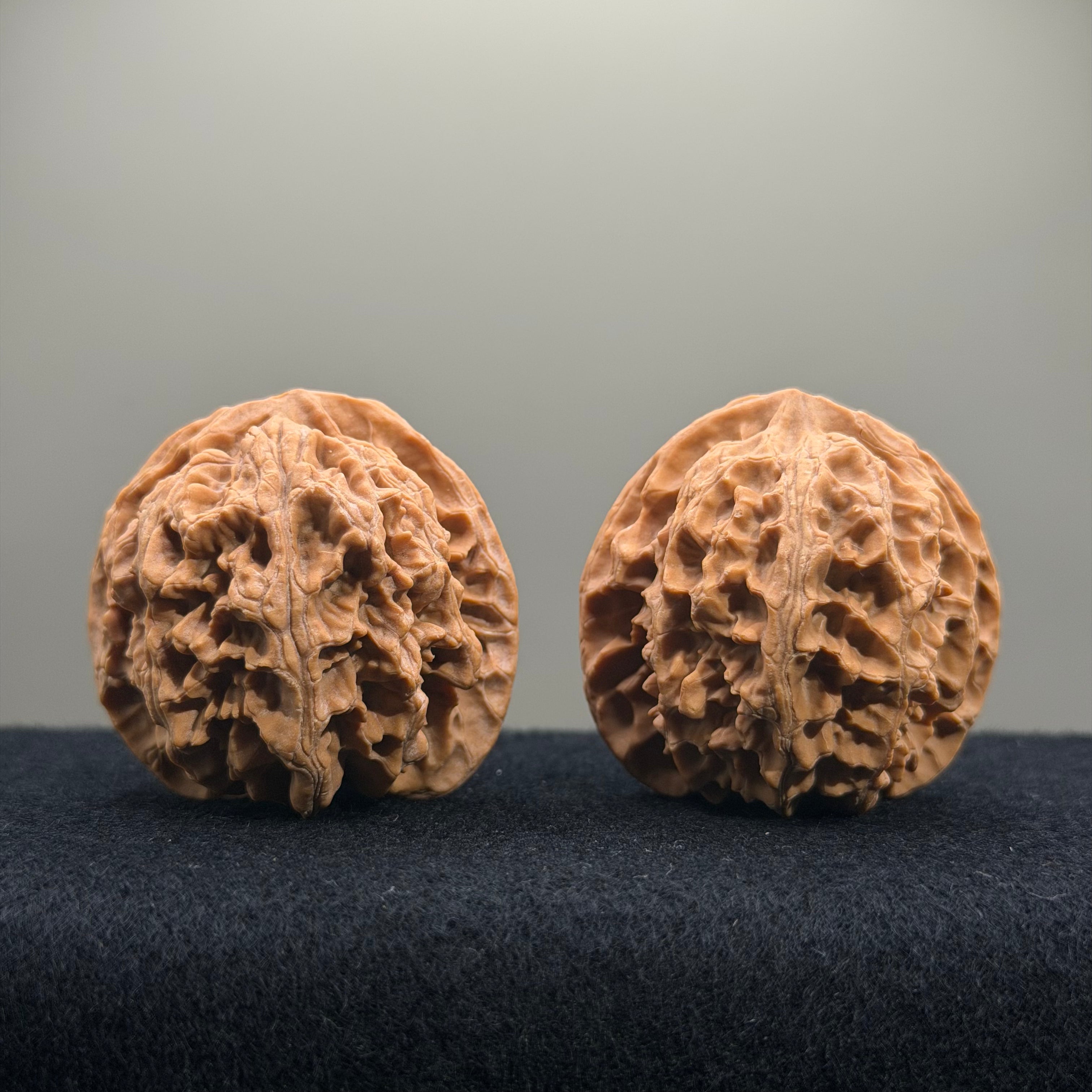 Apple Orchard Wenwan Walnut · 42mm · Natural · Select Ritual