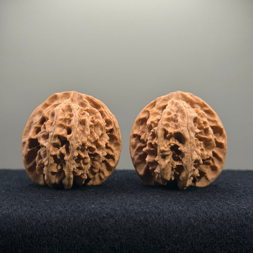 Apple Orchard Wenwan Walnut · 42mm · Natural · Select Ritual