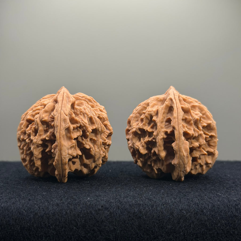 Apple Orchard Wenwan Walnut · 42mm · Natural · Select Ritual