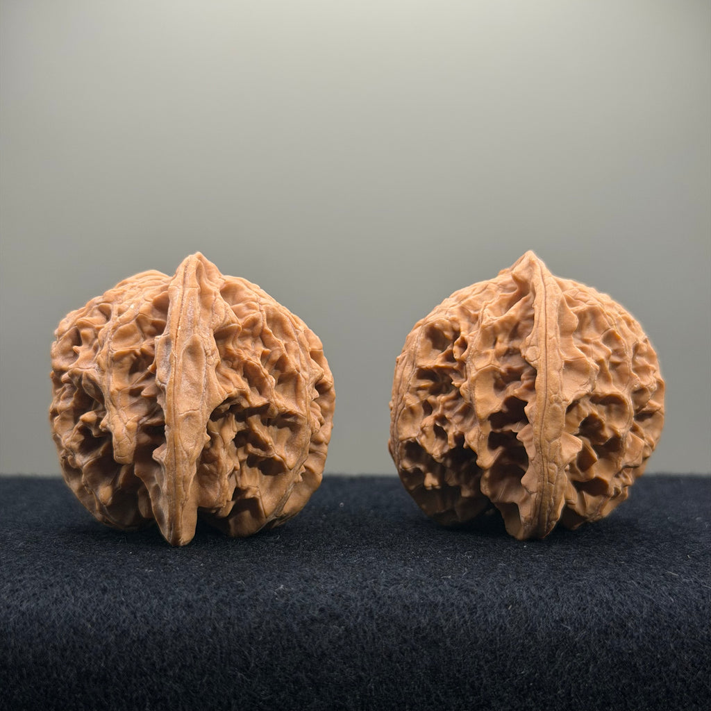 Apple Orchard Wenwan Walnut · 42mm · Natural · Select Ritual