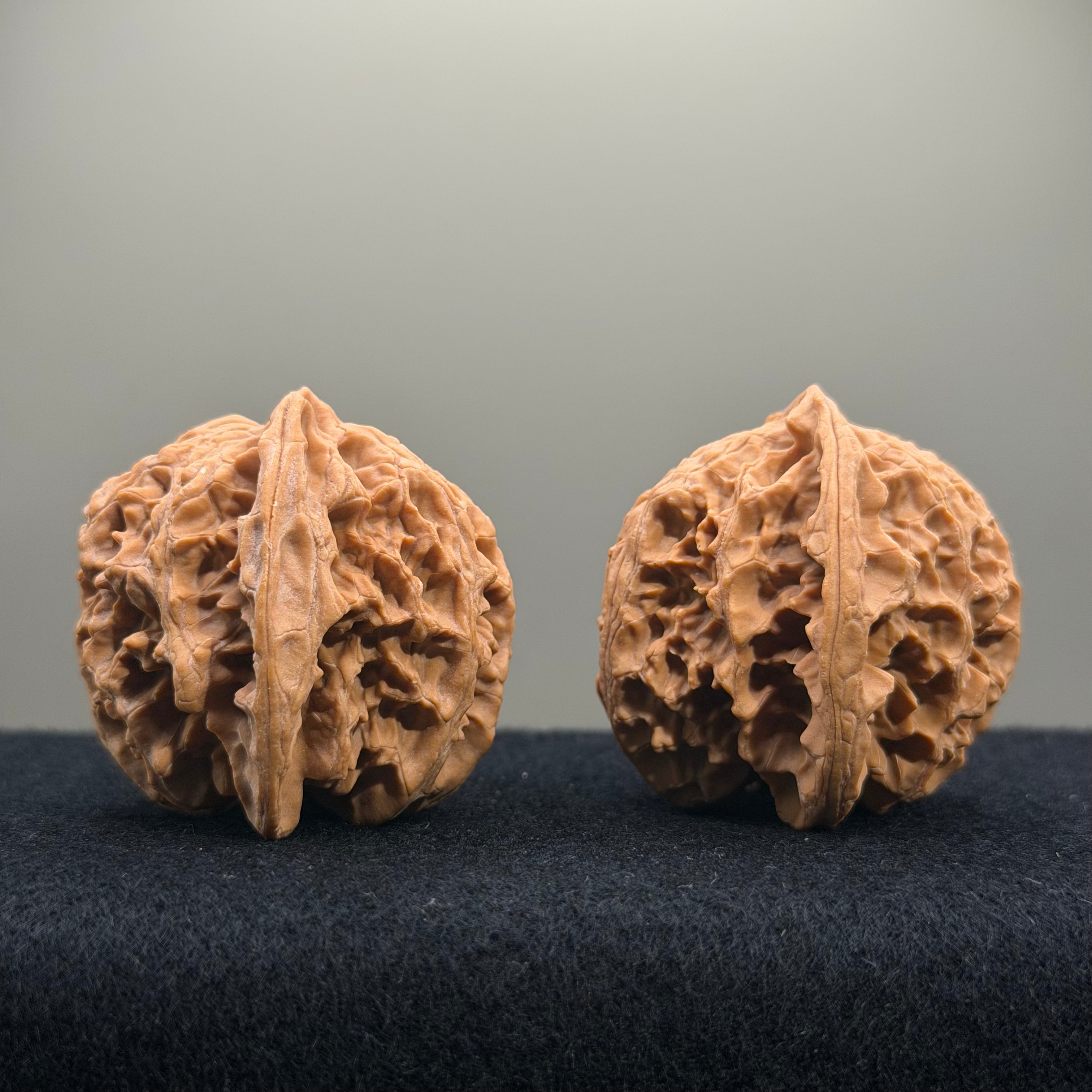 Apple Orchard Wenwan Walnut · 42mm · Natural · Select Ritual