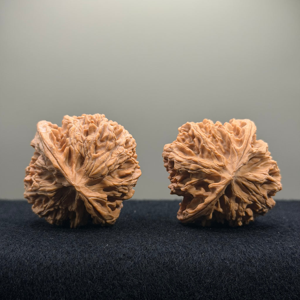 Apple Orchard Wenwan Walnut · 42mm · Natural · Select Ritual