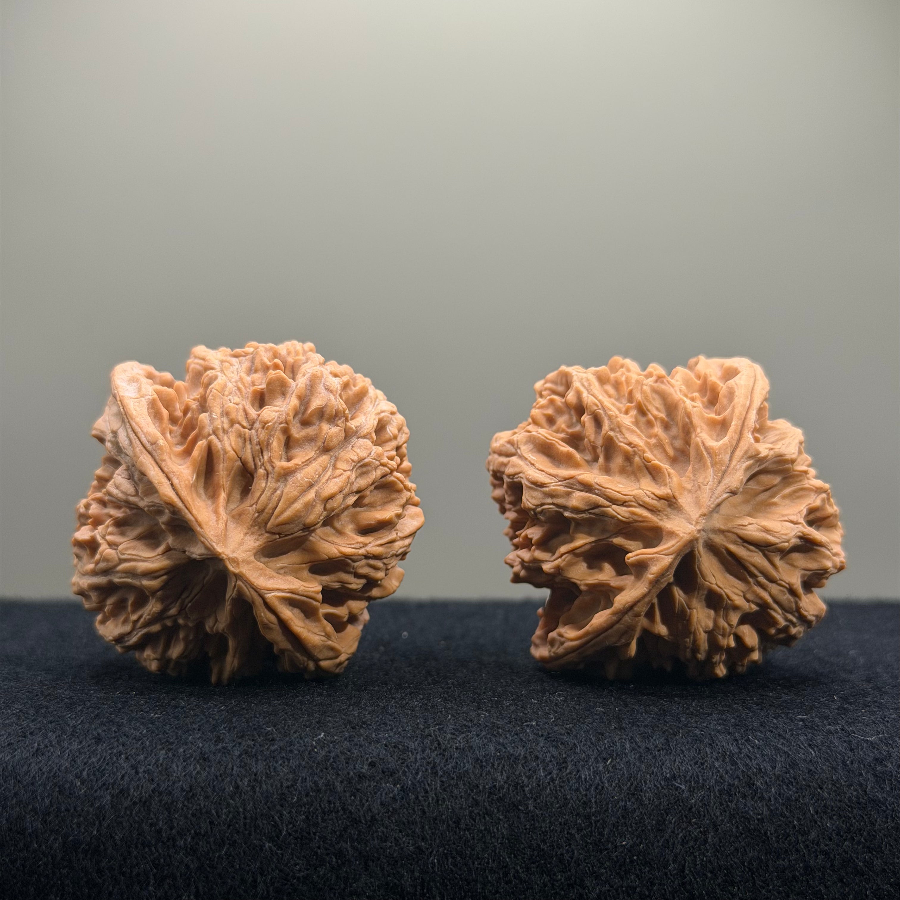 Apple Orchard Wenwan Walnut · 42mm · Natural · Select Ritual