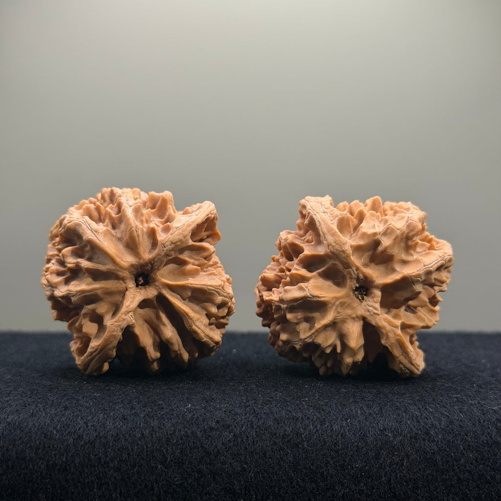 Apple Orchard Wenwan Walnut · 42mm · Natural · Select Ritual