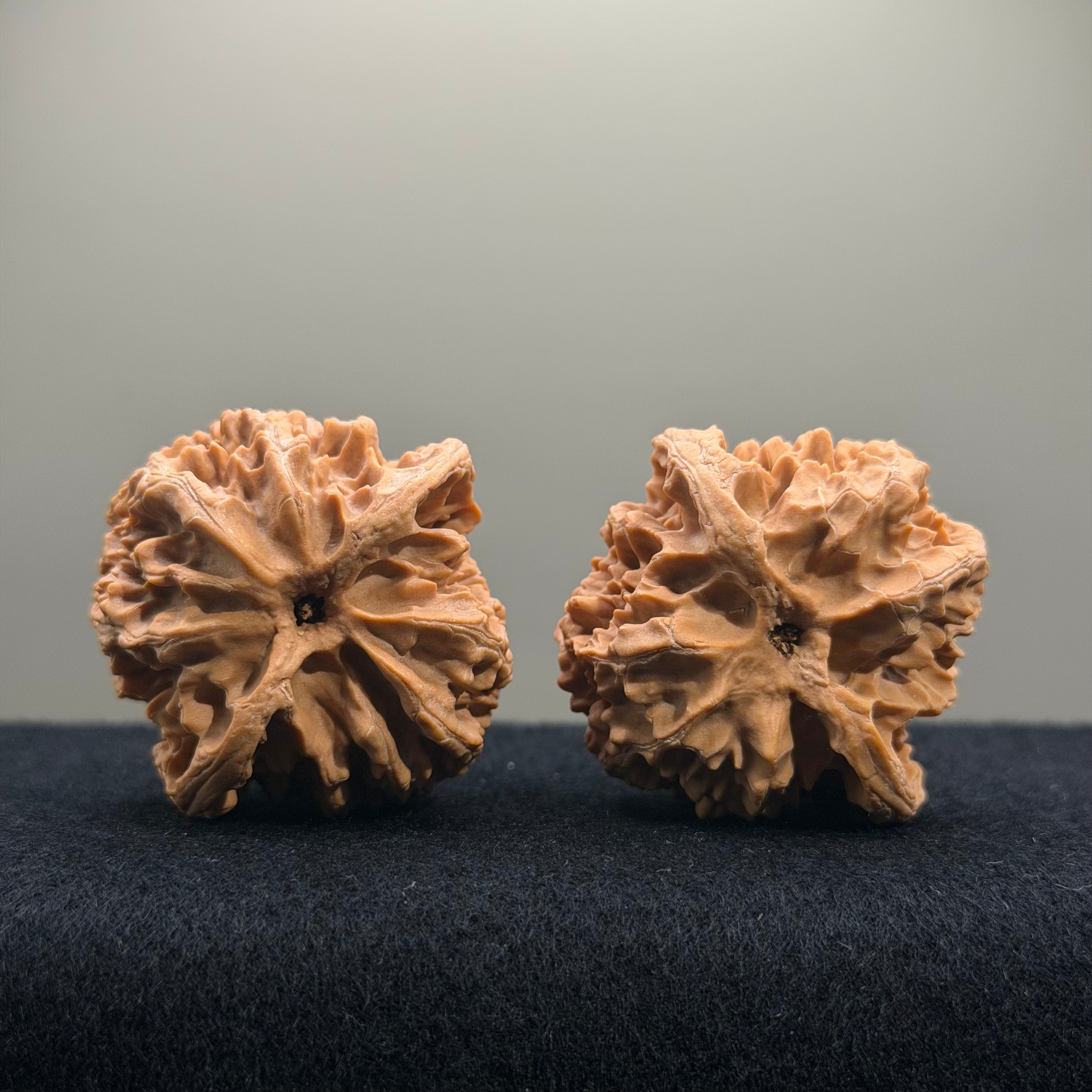Apple Orchard Wenwan Walnut · 42mm · Natural · Select Ritual