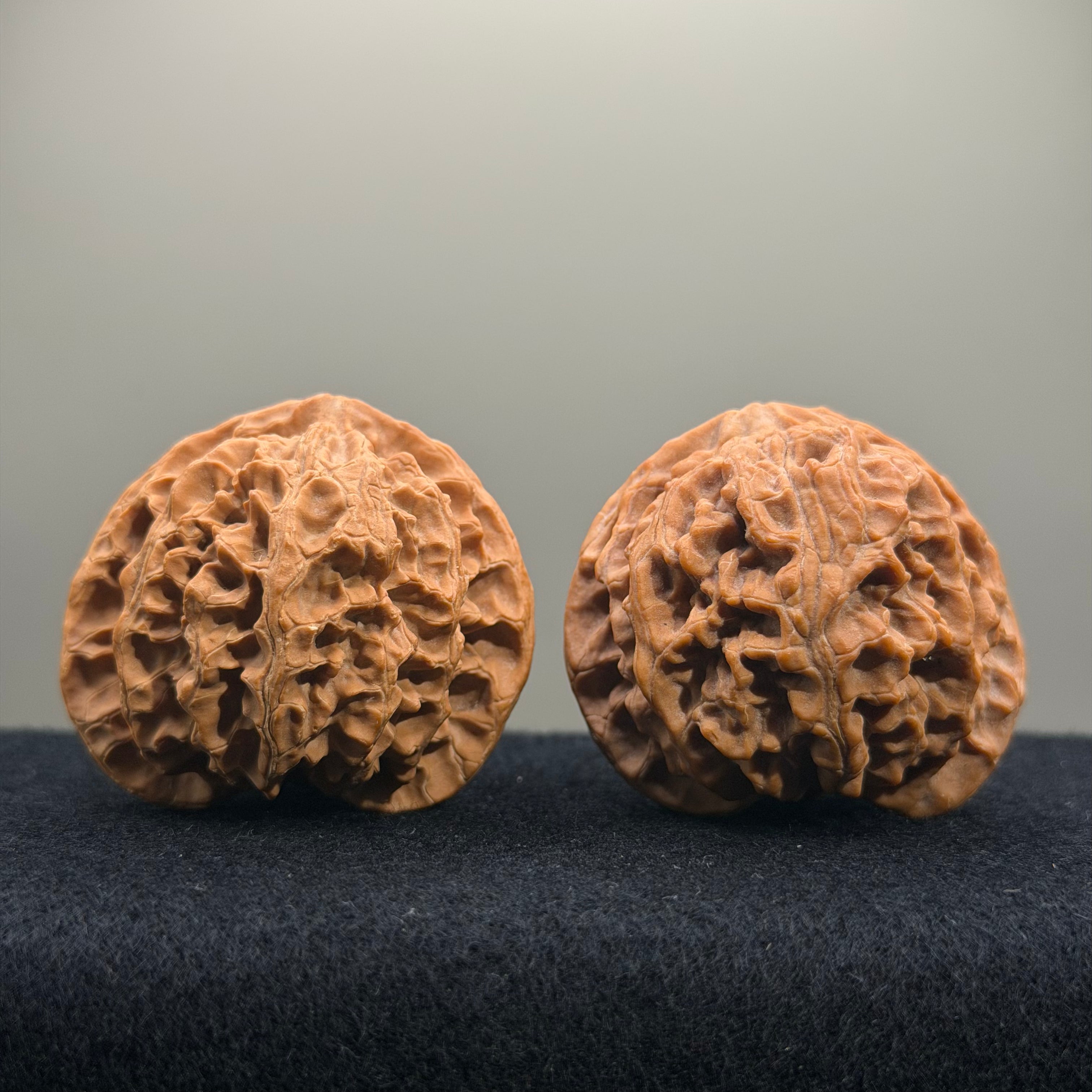 Apple Orchard Wenwan Walnut · 45mm · Natural · Select Ritual