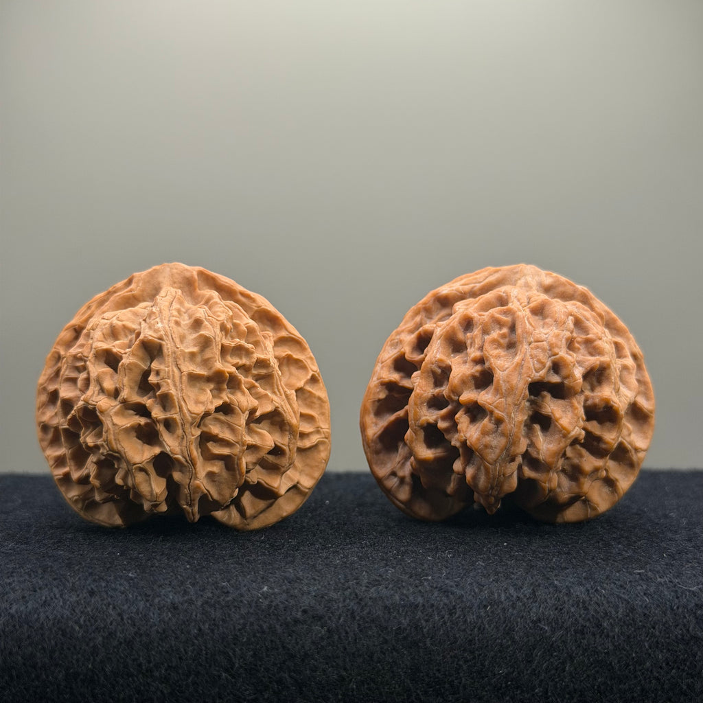 Apple Orchard Wenwan Walnut · 45mm · Natural · Select Ritual