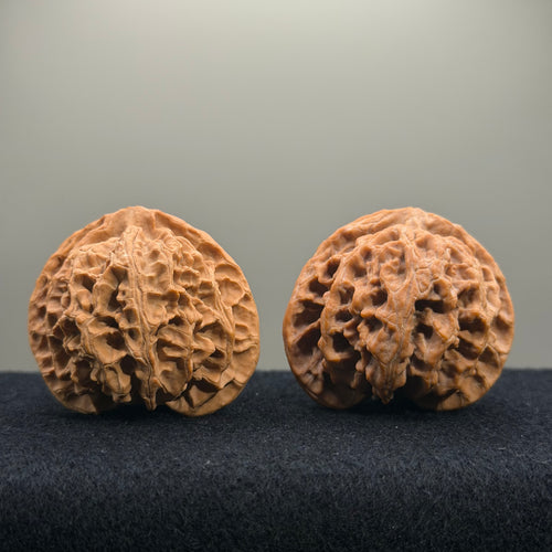 Apple Orchard Wenwan Walnut · 45mm · Natural · Select Ritual