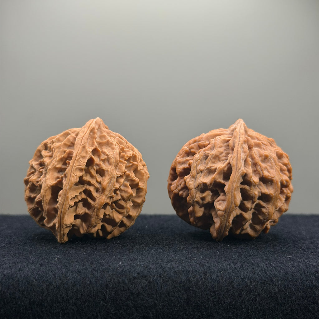 Apple Orchard Wenwan Walnut · 45mm · Natural · Select Ritual