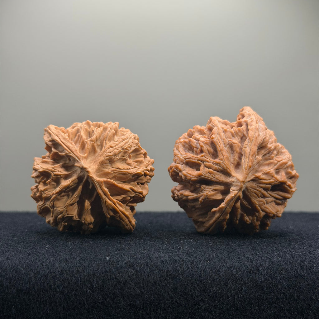 Apple Orchard Wenwan Walnut · 45mm · Natural · Select Ritual