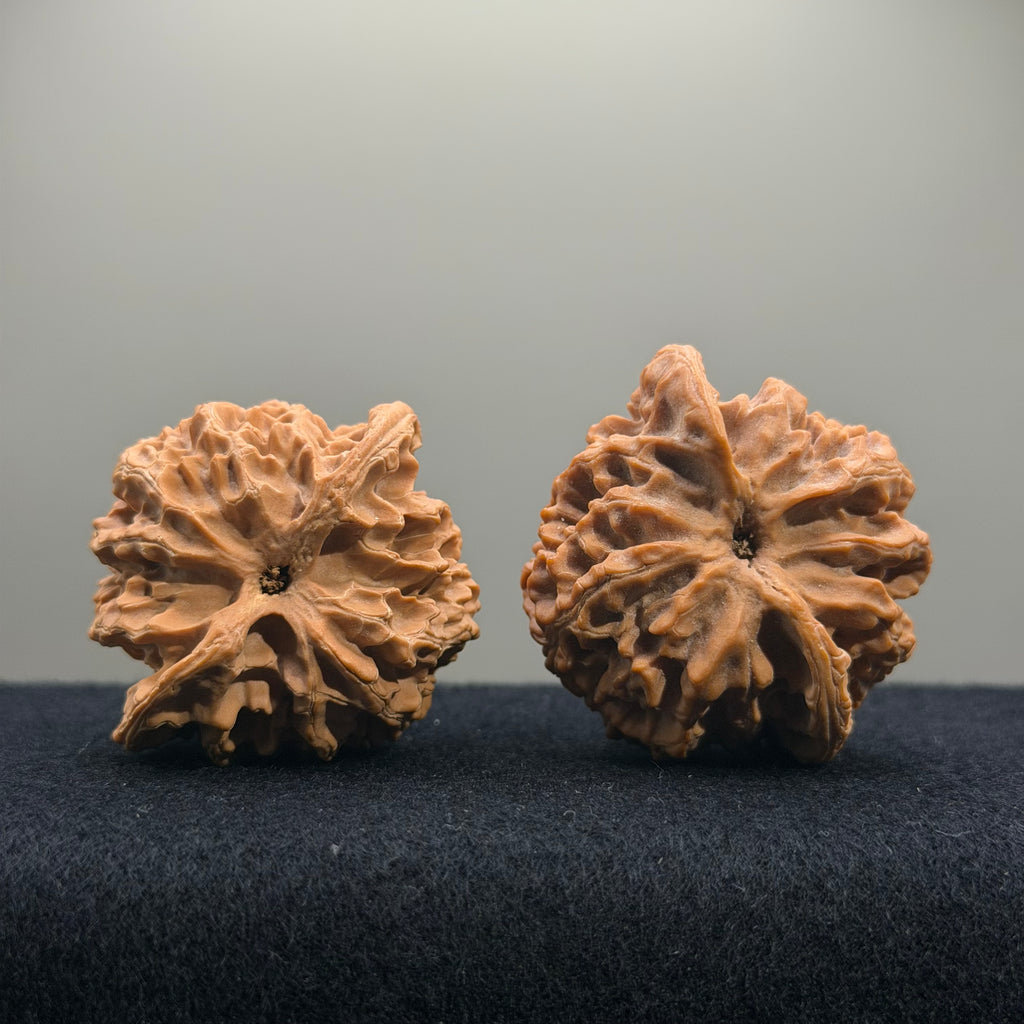 Apple Orchard Wenwan Walnut · 45mm · Natural · Select Ritual