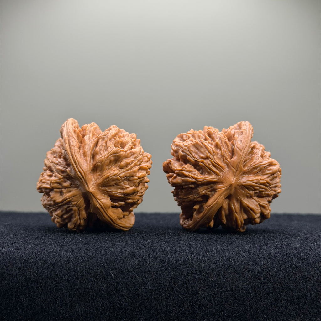 Four Towers Wenwan Walnut · 42mm · Select Ritual