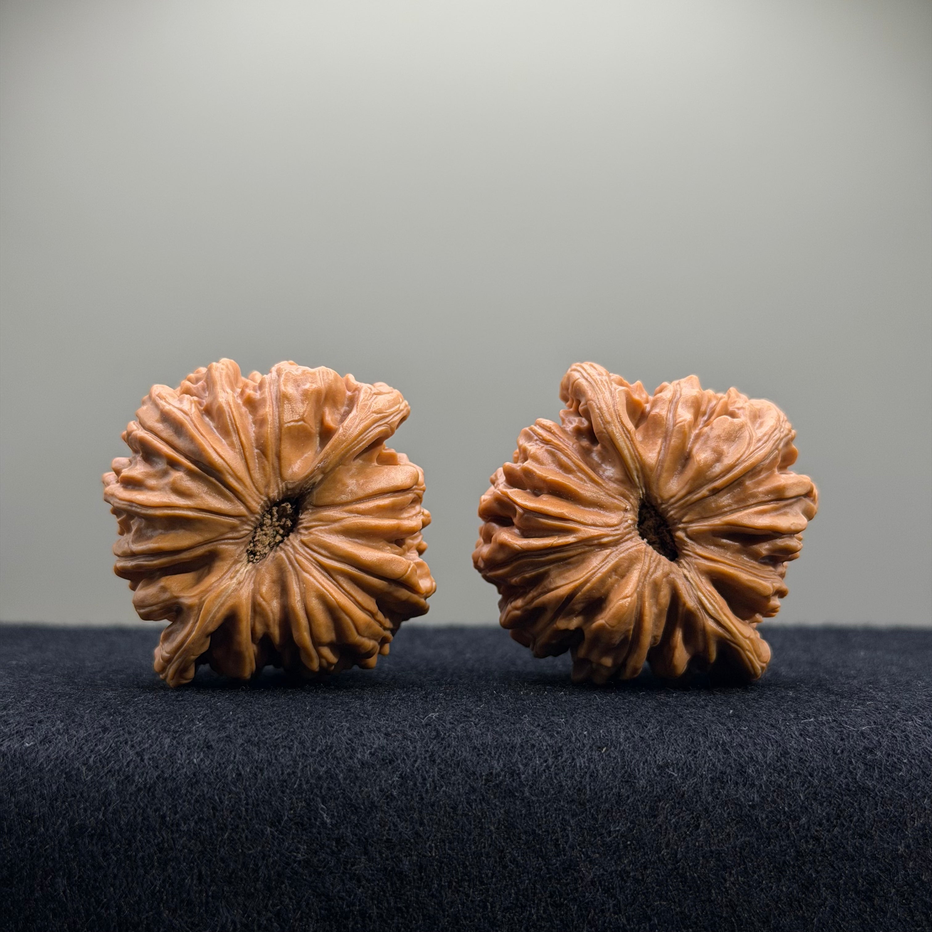 Four Towers Wenwan Walnut · 42mm · Select Ritual