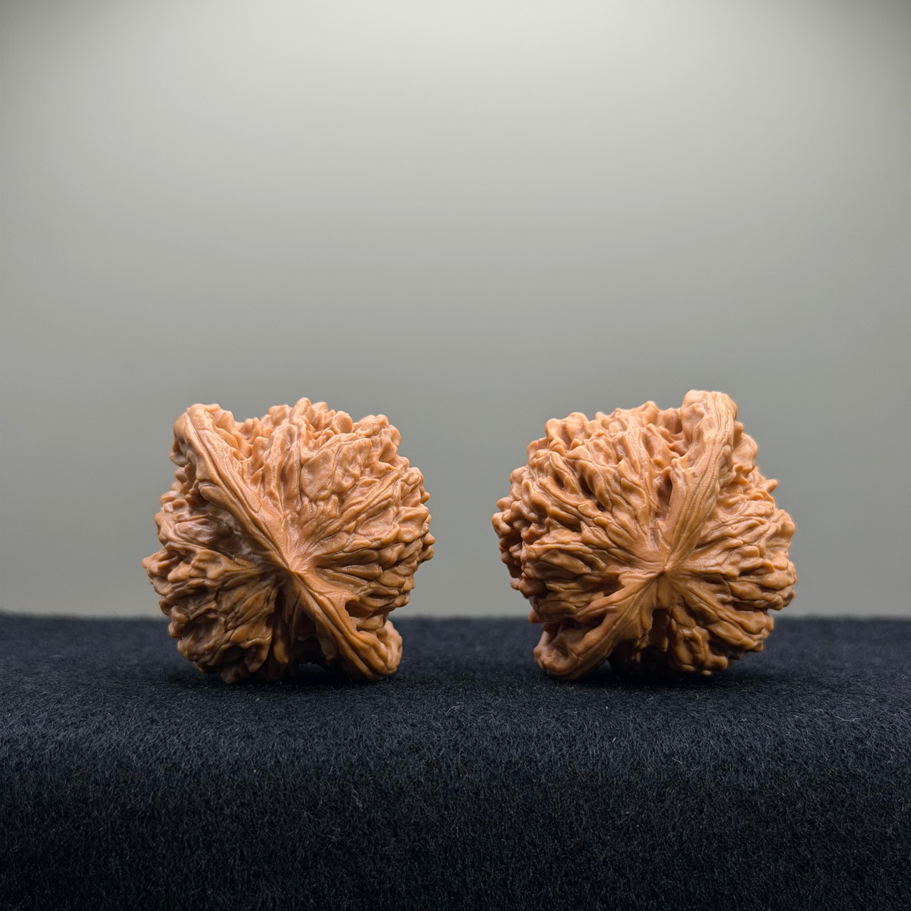 Four Towers Wenwan Walnut · 40mm · Select Ritual