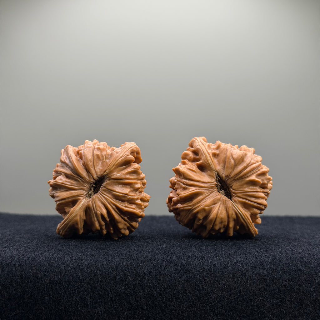 Four Towers Wenwan Walnut · 40mm · Select Ritual