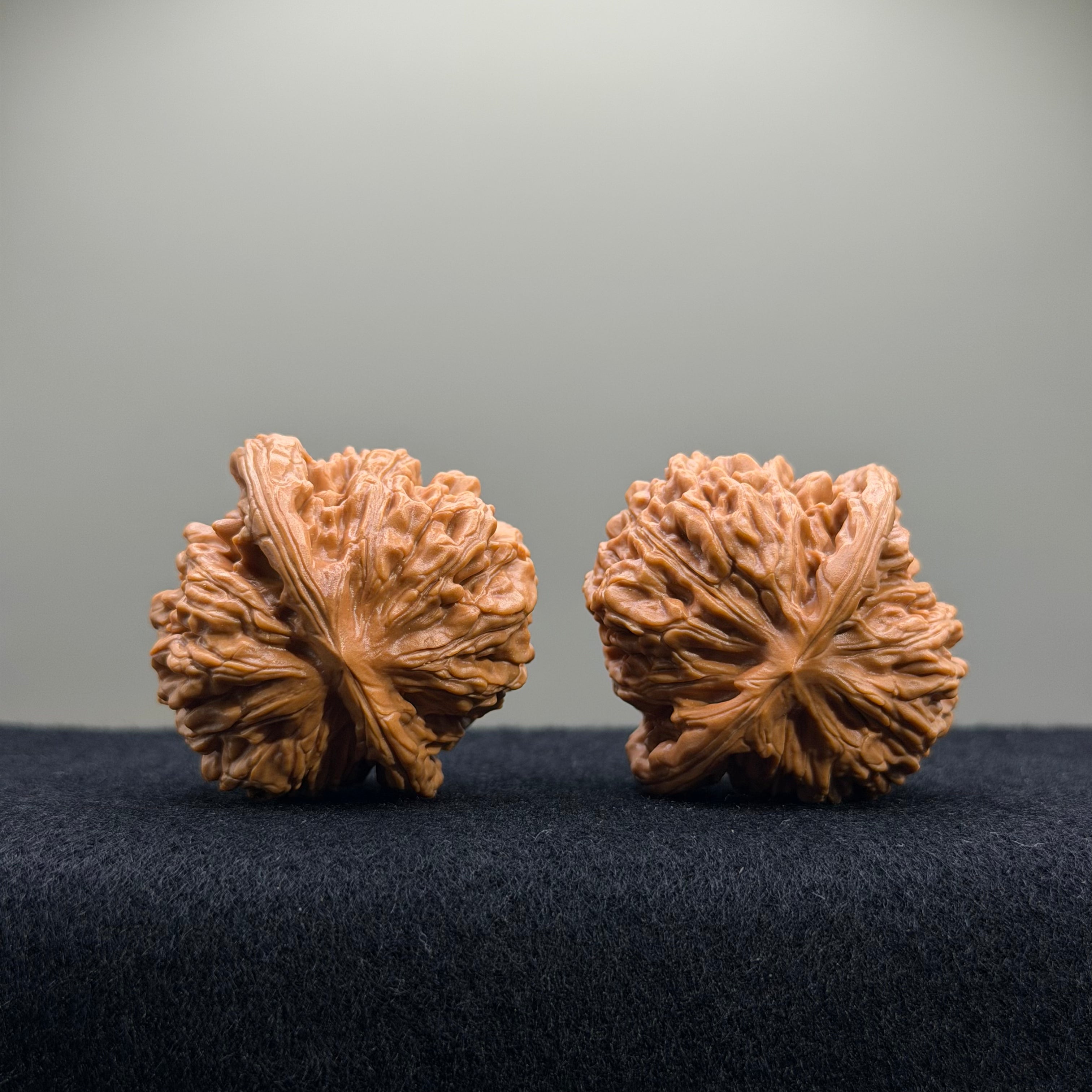 Four Towers Wenwan Walnut · 40mm · Select Ritual