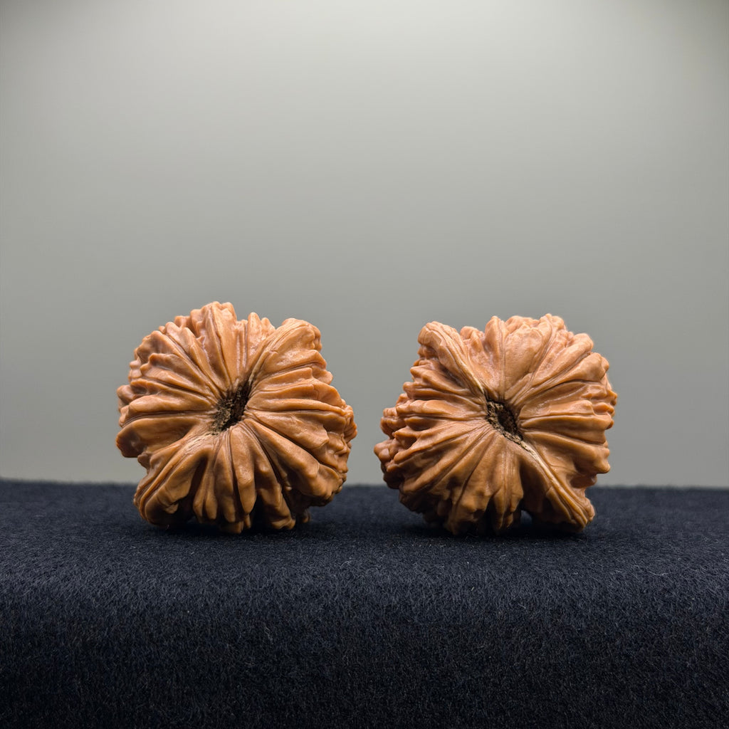 Four Towers Wenwan Walnut · 40mm · Select Ritual