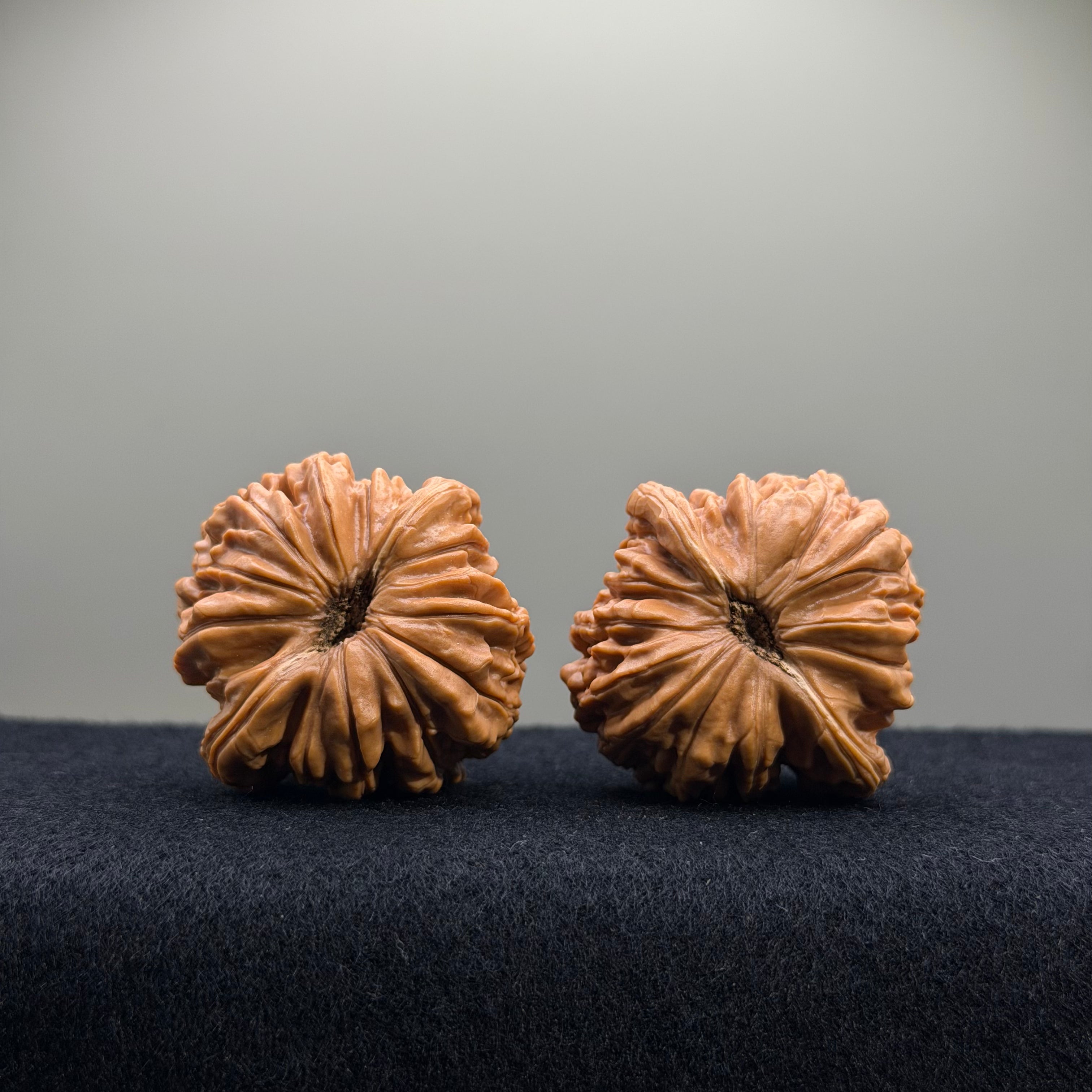 Four Towers Wenwan Walnut · 40mm · Select Ritual
