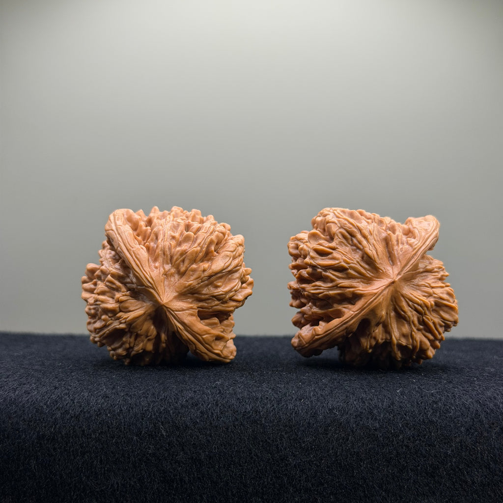 Four Towers Wenwan Walnut · 44mm · Select Ritual