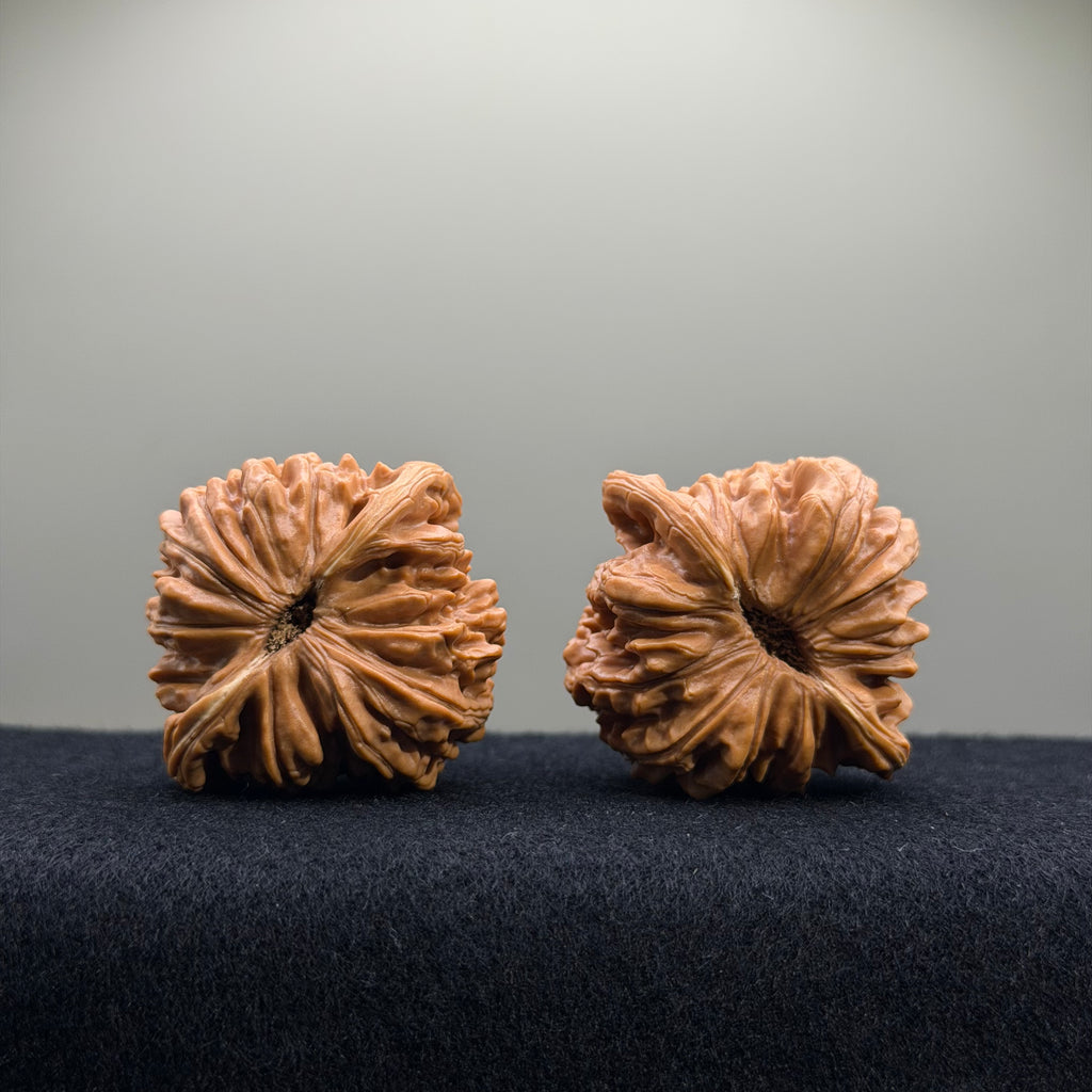 Four Towers Wenwan Walnut · 44mm · Select Ritual