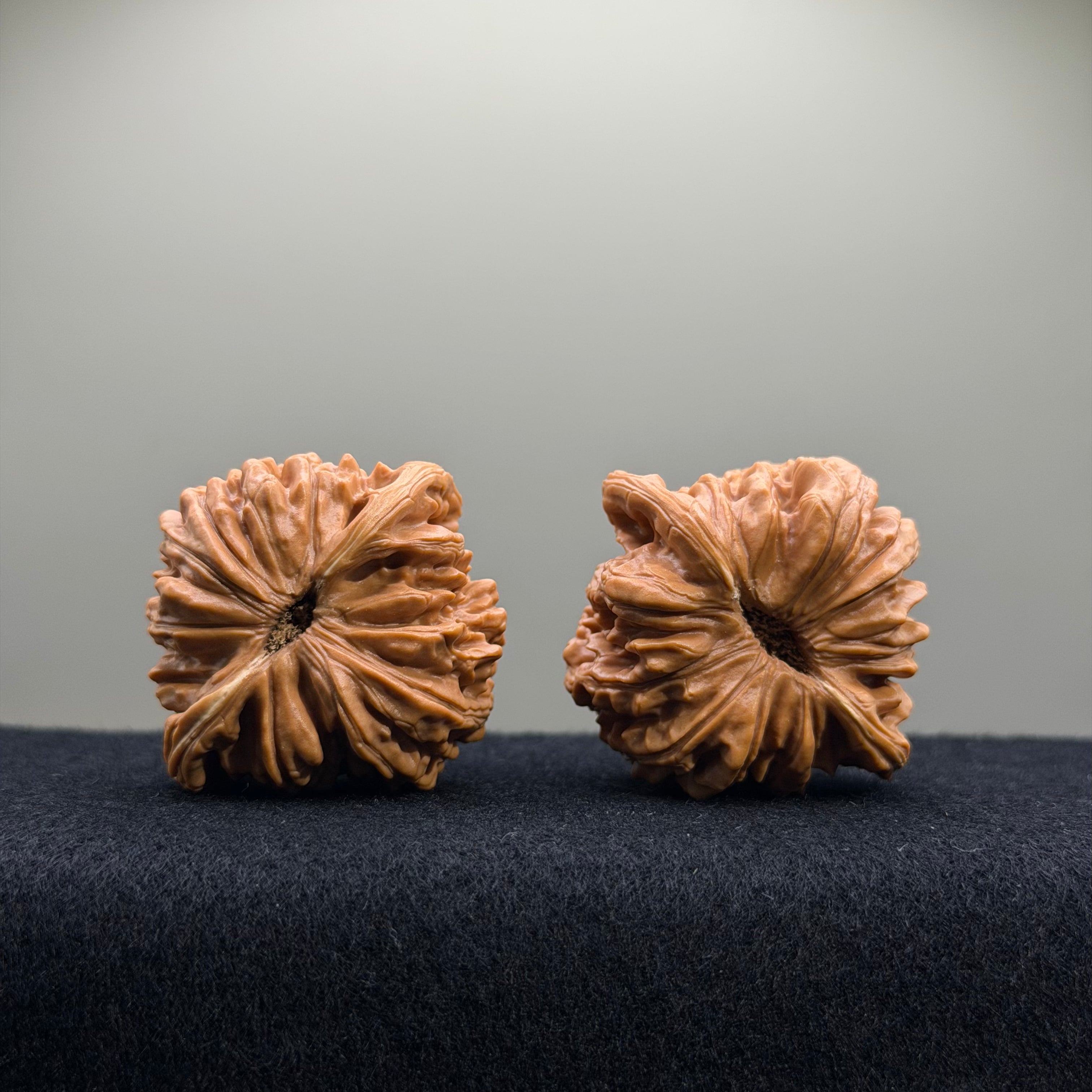 Four Towers Wenwan Walnut · 44mm · Select Ritual