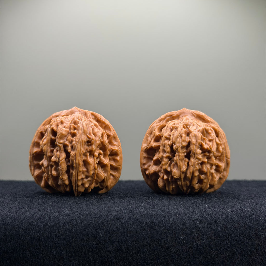 Four Towers Wenwan Walnut · 40mm · Entry Ritual