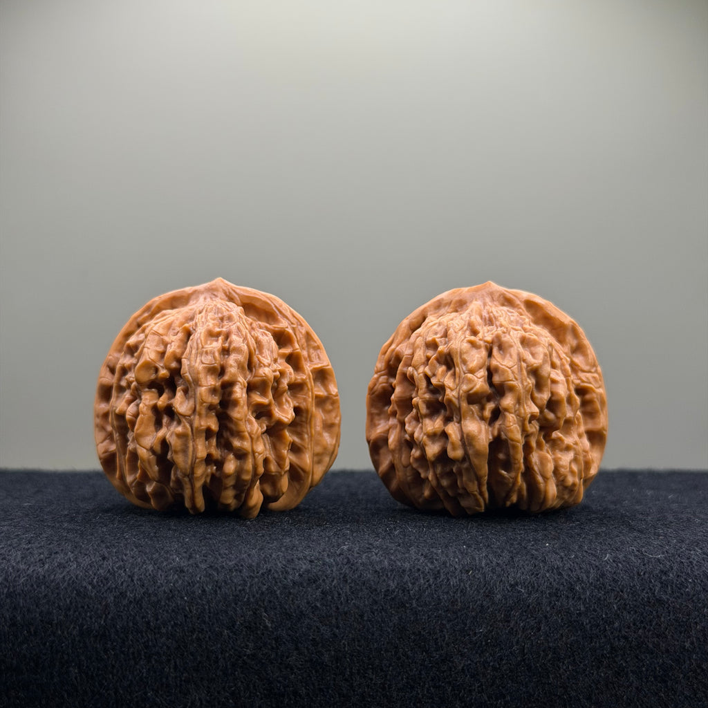 Four Towers Wenwan Walnut · 40mm · Entry Ritual