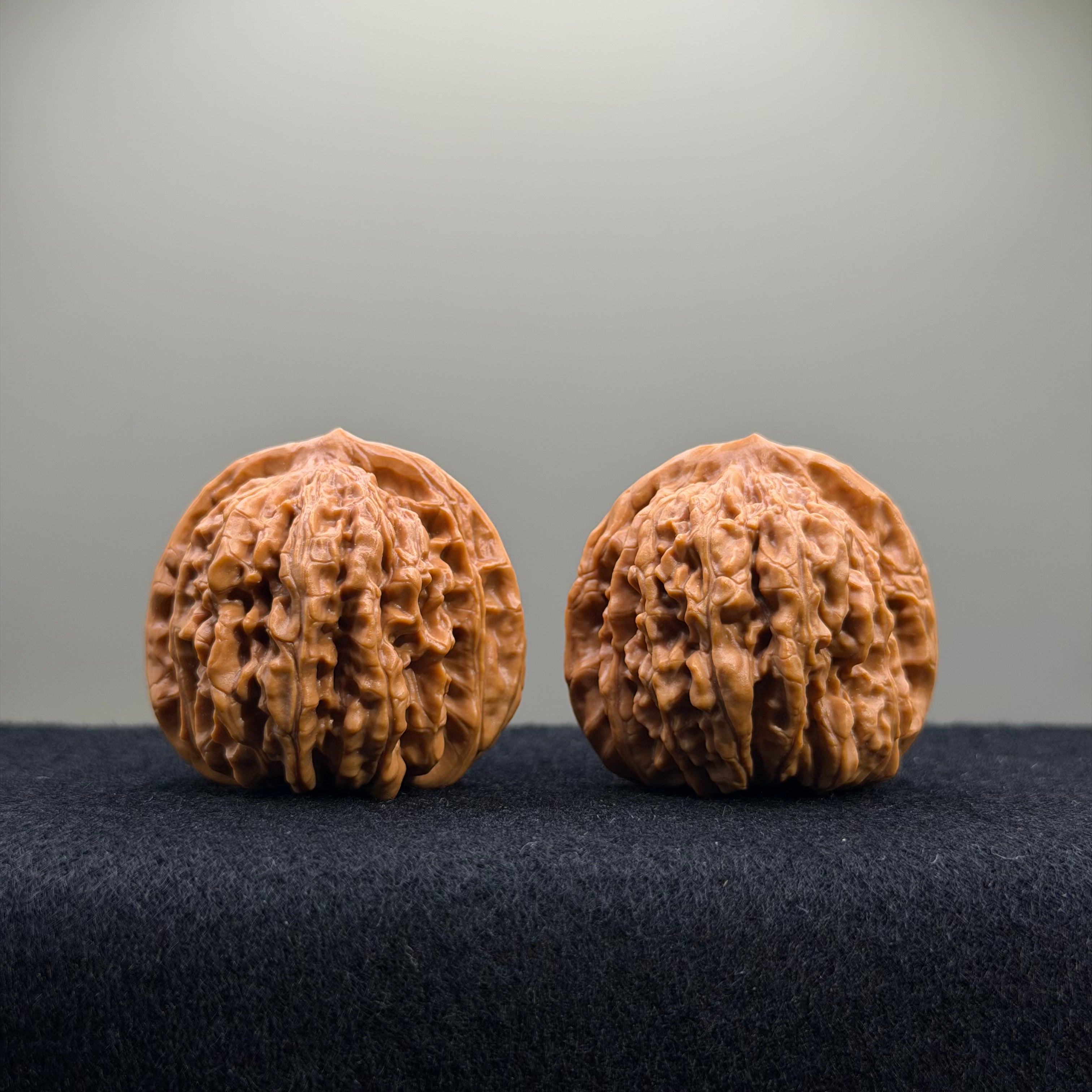 Four Towers Wenwan Walnut · 40mm · Entry Ritual