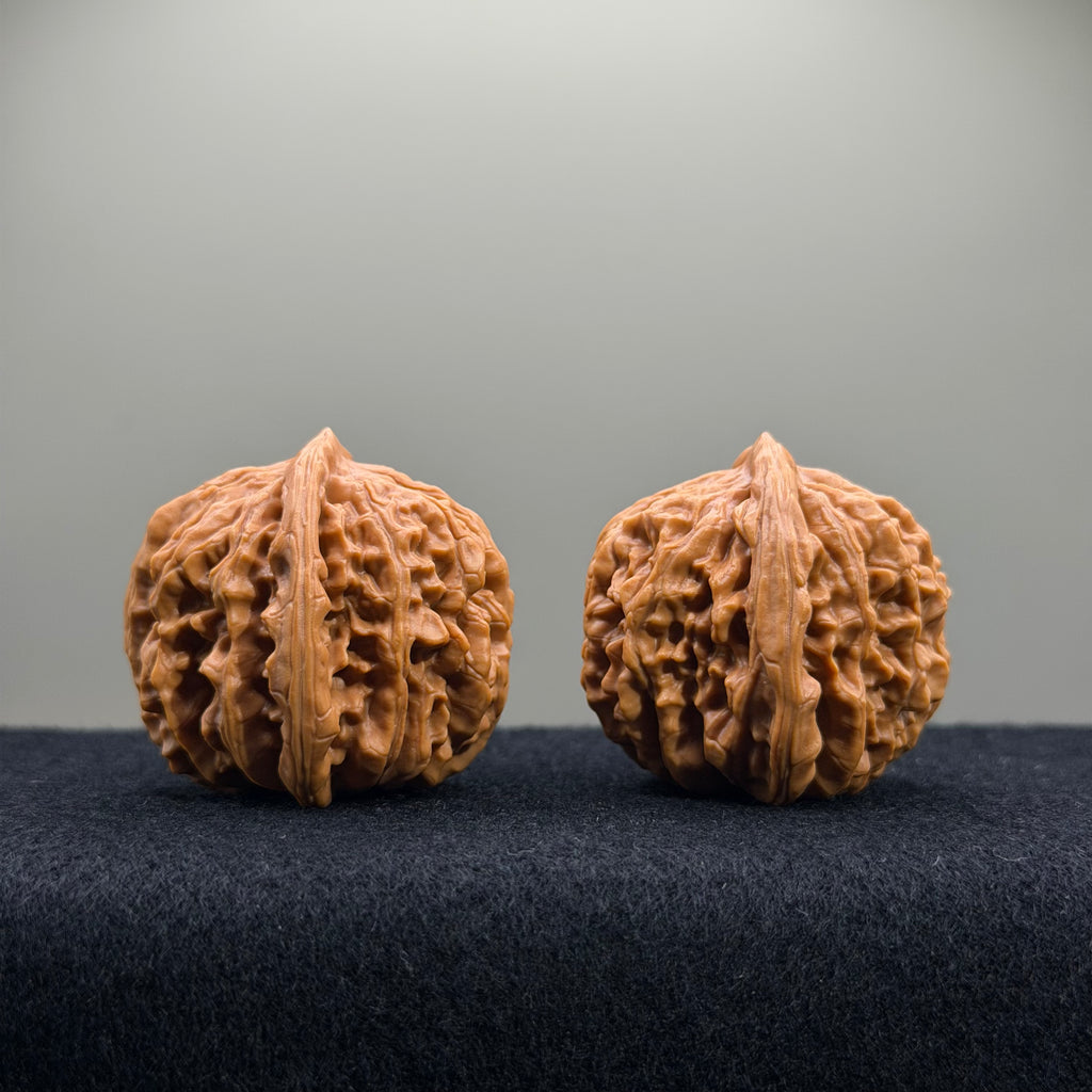 Four Towers Wenwan Walnut · 40mm · Entry Ritual