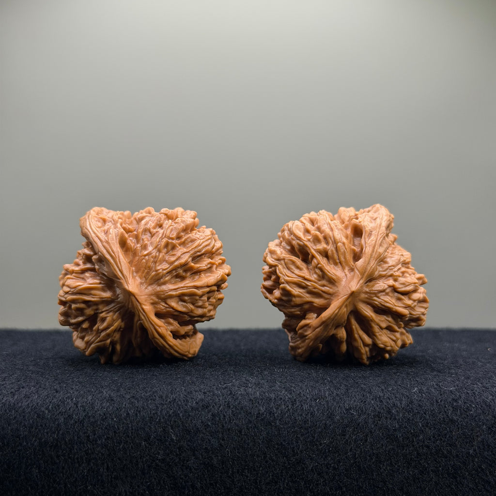 Four Towers Wenwan Walnut · 40mm · Entry Ritual