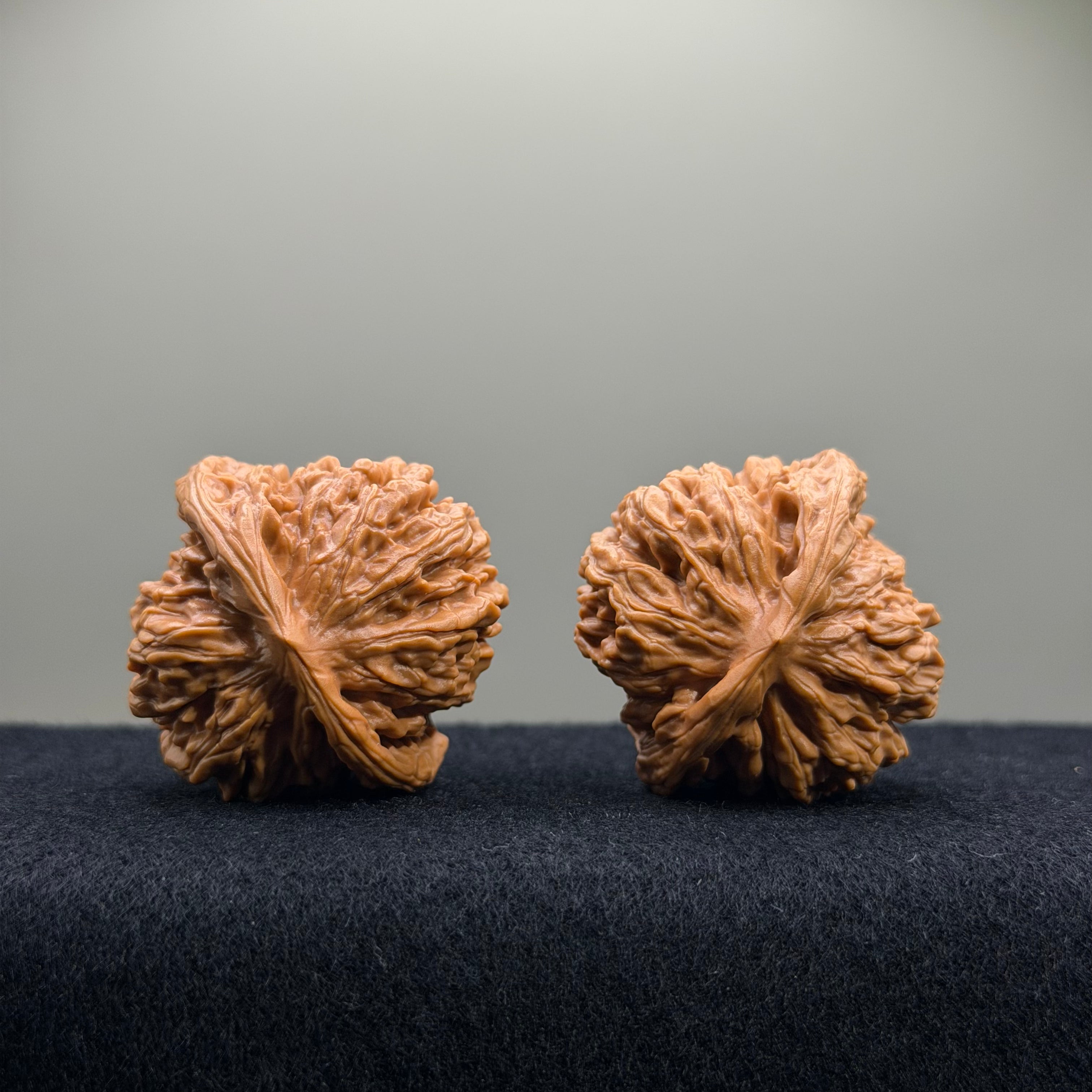 Four Towers Wenwan Walnut · 40mm · Entry Ritual