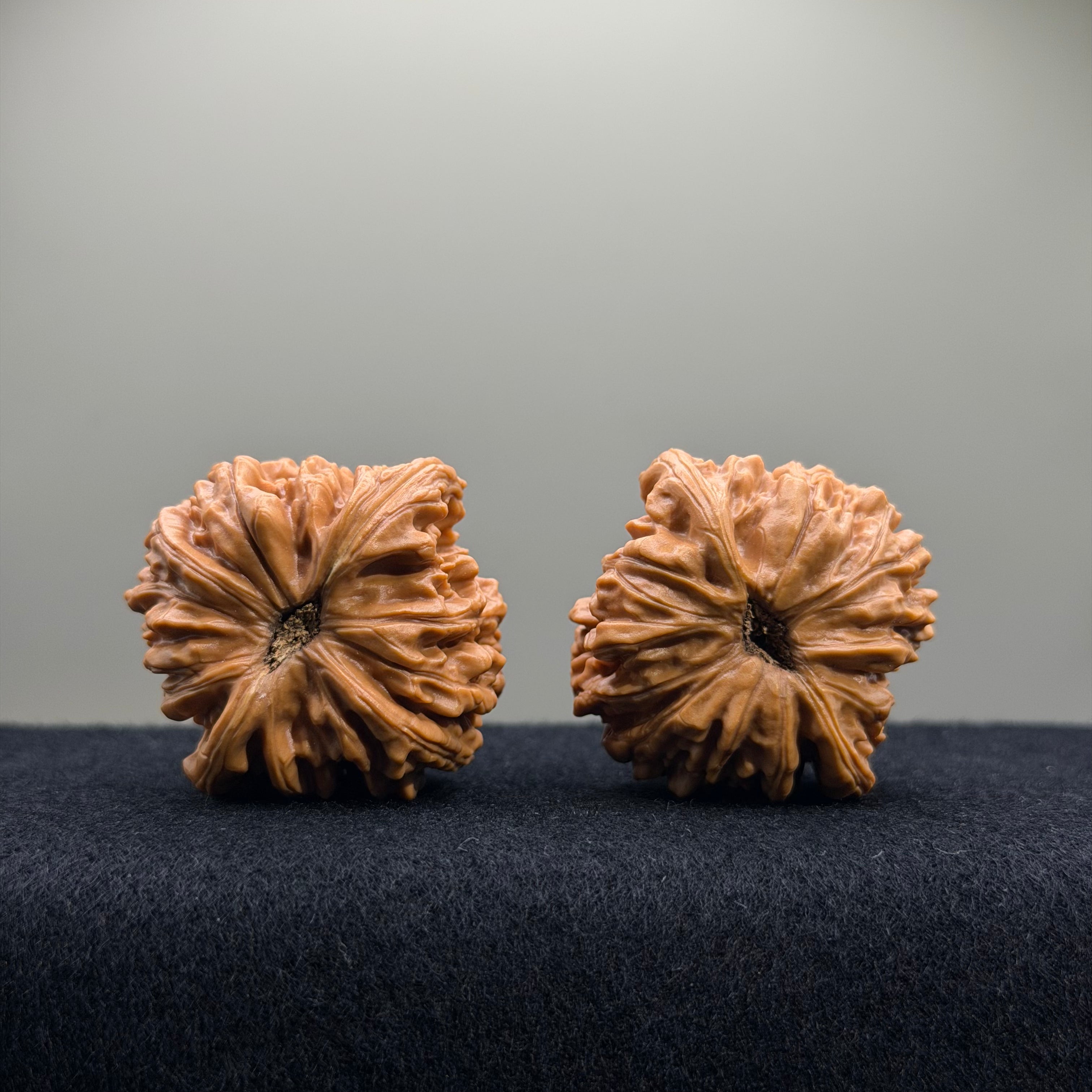 Four Towers Wenwan Walnut · 40mm · Entry Ritual