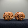 Four Towers Wenwan Walnut · 41mm · Entry Ritual
