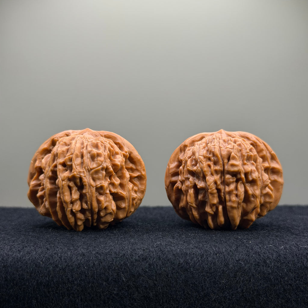 Four Towers Wenwan Walnut · 41mm · Entry Ritual