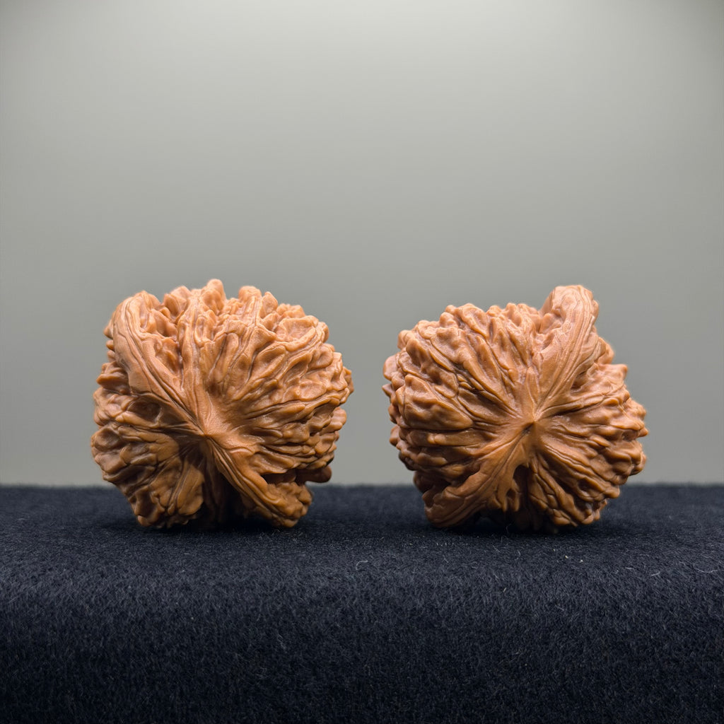 Four Towers Wenwan Walnut · 41mm · Entry Ritual