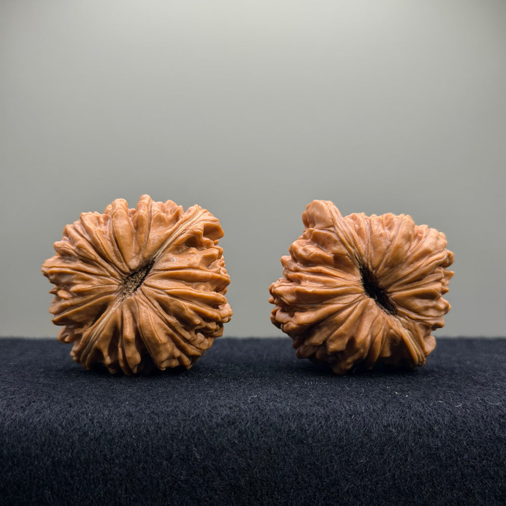 Four Towers Wenwan Walnut · 41mm · Entry Ritual