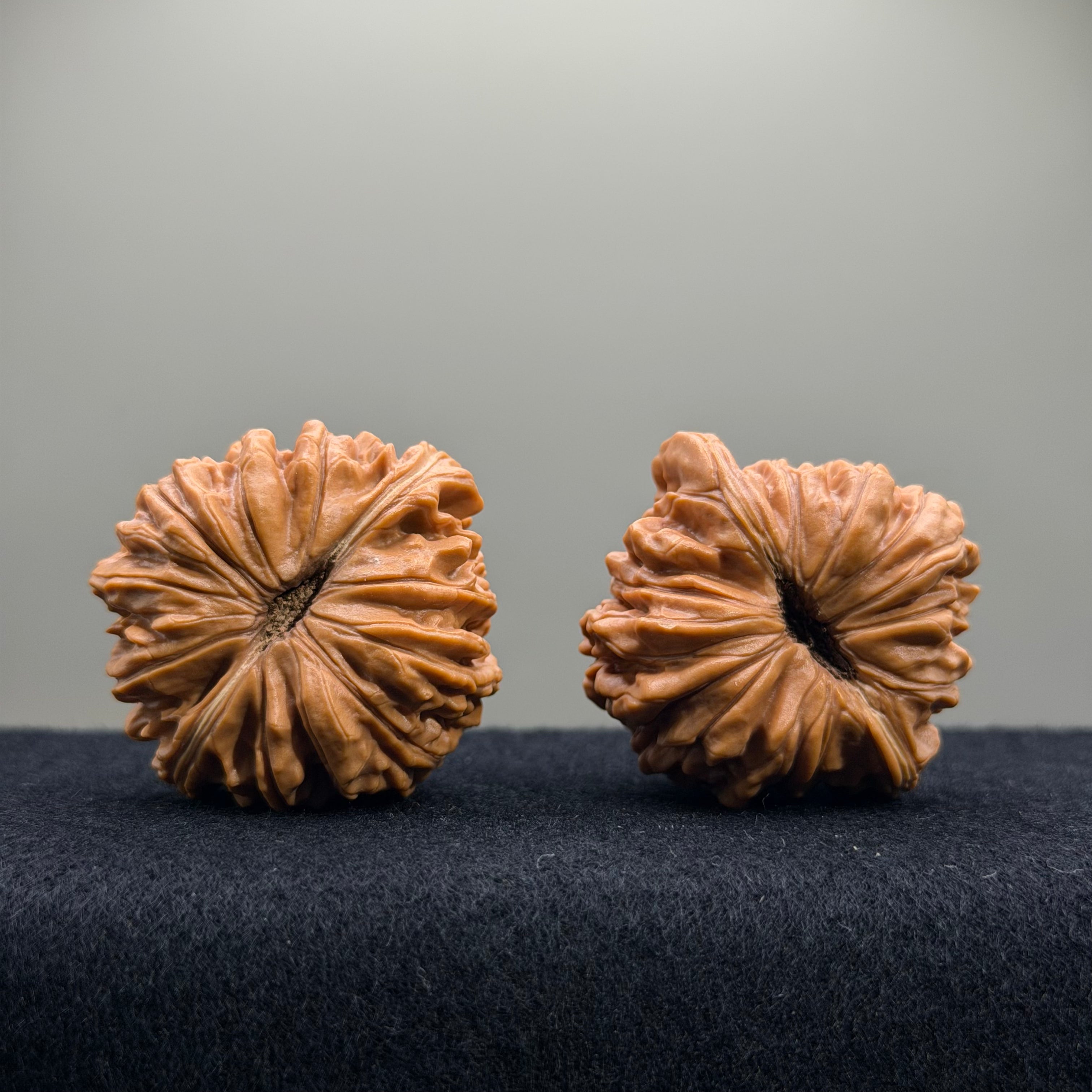 Four Towers Wenwan Walnut · 41mm · Entry Ritual